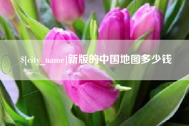 渭南新版的中国地图多少钱