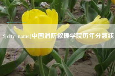 渭南中国消防救援学院历年分数线