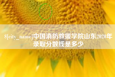 渭南中国消防救援学院山东2020年录取分数线是多少