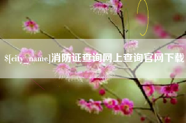 渭南消防证查询网上查询官网下载