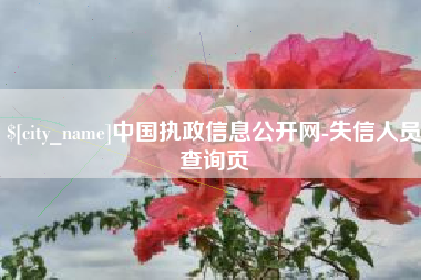 渭南中国执政信息公开网-失信人员查询页