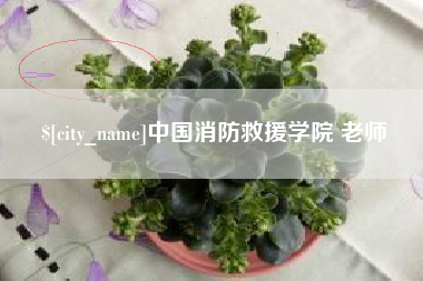 渭南中国消防救援学院 老师