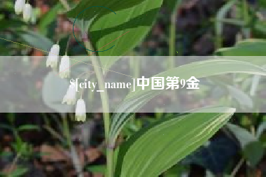 渭南中国第9金