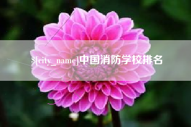 渭南中国消防学校排名