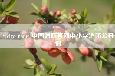 渭南中国消防官网中小学消防公开课