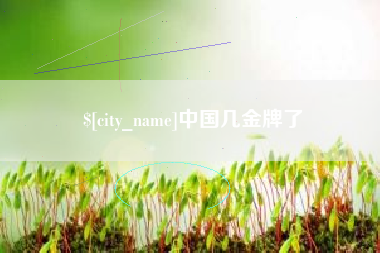 渭南中国几金牌了