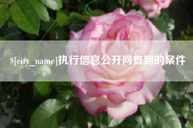 渭南执行信息公开网查到的案件