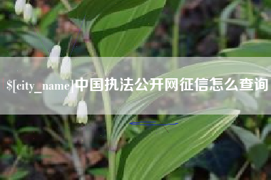 渭南中国执法公开网征信怎么查询