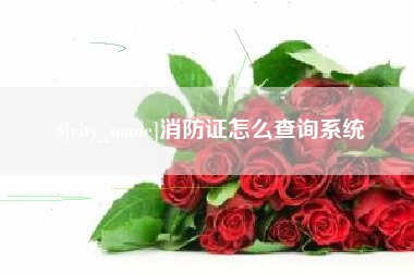 渭南消防证怎么查询系统