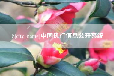 渭南中国执行信息公开系统
