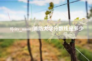 渭南消防大学分数线是多少