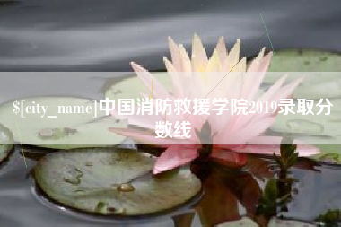 渭南中国消防救援学院2019录取分数线