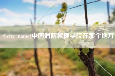 渭南中国消防救援学院在那个地方