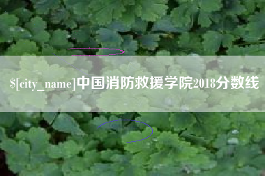 渭南中国消防救援学院2018分数线
