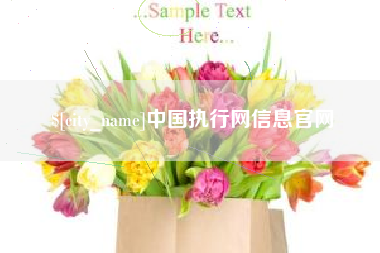 渭南中国执行网信息官网