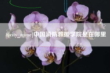 渭南中国消防救援学院是在哪里