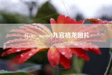 渭南九宫格龙图片