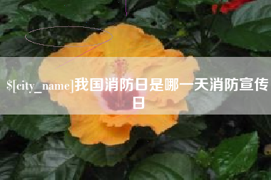 渭南我国消防日是哪一天消防宣传日