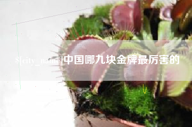 渭南中国哪九块金牌最厉害的