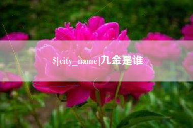渭南九金是谁