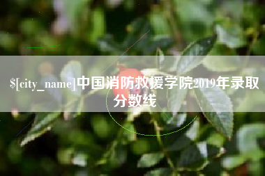 渭南中国消防救援学院2019年录取分数线