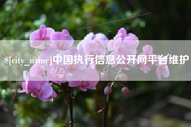 渭南中国执行信息公开网平台维护