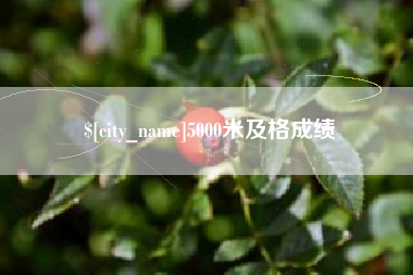 渭南5000米及格成绩