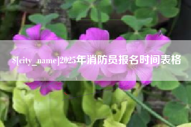 渭南2025年消防员报名时间表格
