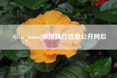 渭南中国执行信息公开网后