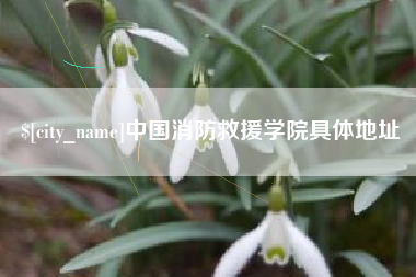 渭南中国消防救援学院具体地址