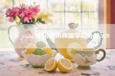 渭南中国消防救援学院分数2020