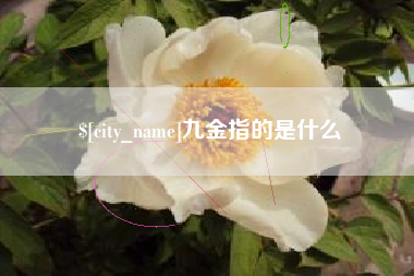 渭南九金指的是什么