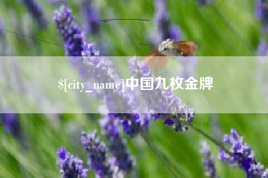 渭南中国九枚金牌