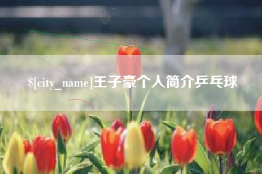 渭南王子豪个人简介乒乓球