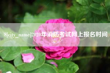 渭南2020年消防考试网上报名时间