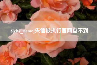 渭南失信被执行官网查不到