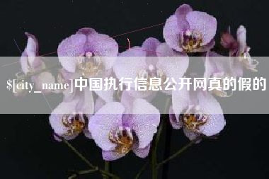 渭南中国执行信息公开网真的假的