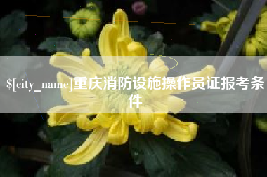渭南重庆消防设施操作员证报考条件