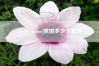 渭南我国多少个金牌