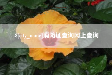 渭南消防证查询网上查询