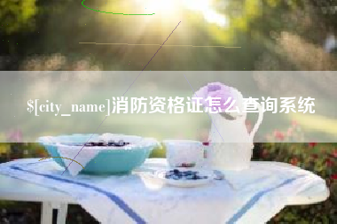渭南消防资格证怎么查询系统
