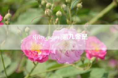 渭南第九金是