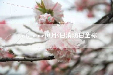 渭南11月9日消防日全称