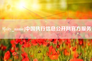 渭南中国执行信息公开网官方服务