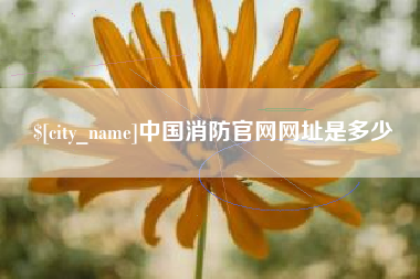 渭南中国消防官网网址是多少