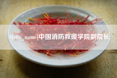渭南中国消防救援学院副院长