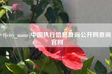 渭南中国执行信息查询公开网查询官网