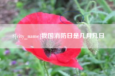 渭南我国消防日是几月几日