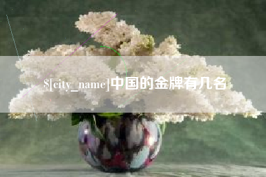 渭南中国的金牌有几名