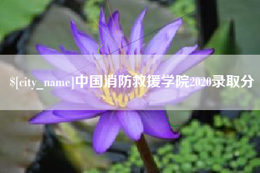 渭南中国消防救援学院2020录取分